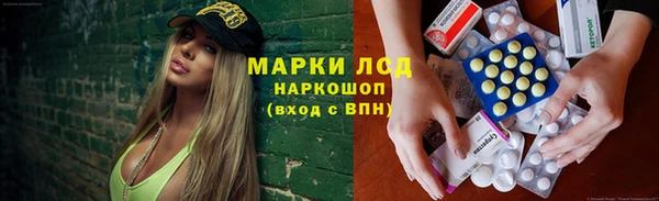 крисы Алексин