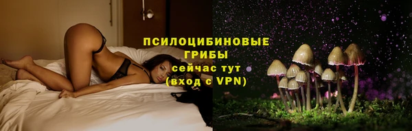 твердый Алзамай