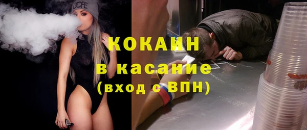 крисы Алексин