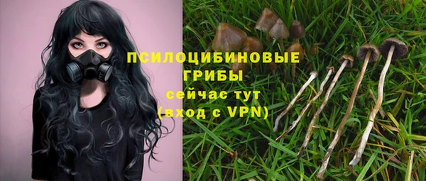 крисы Алексин
