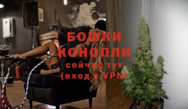 крисы Алексин